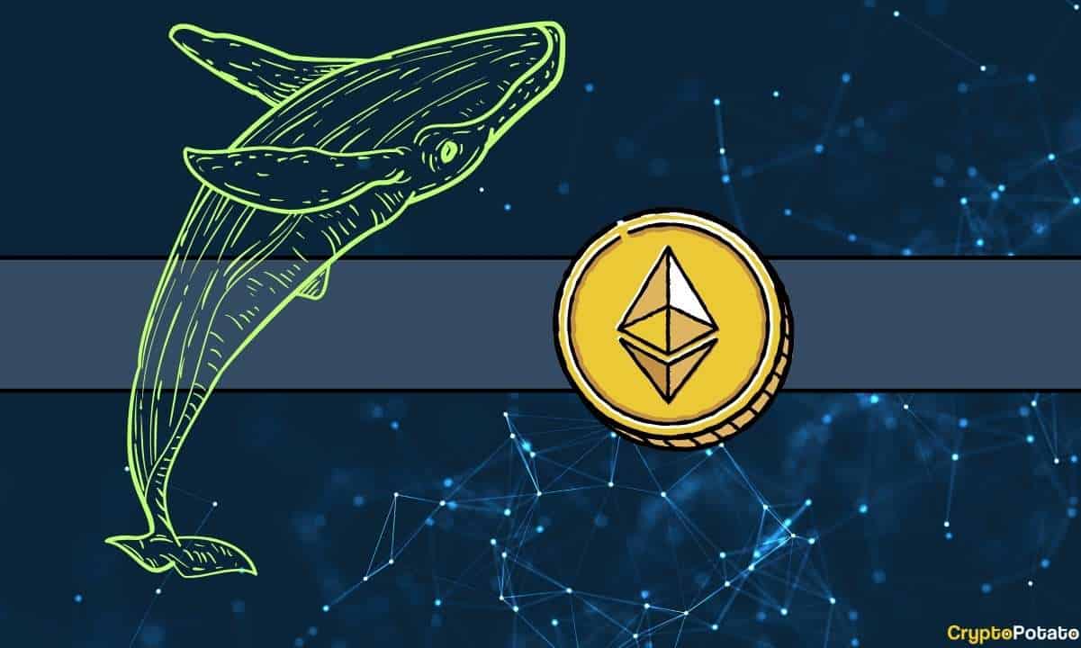 Ethereum Fiyatı Tehlikede mi? Uyuyan Balina, 90 Milyon Dolarlık ETH'yi Kraken'e Taşıdıktan Sonra Satış Endişelerini Artırdı