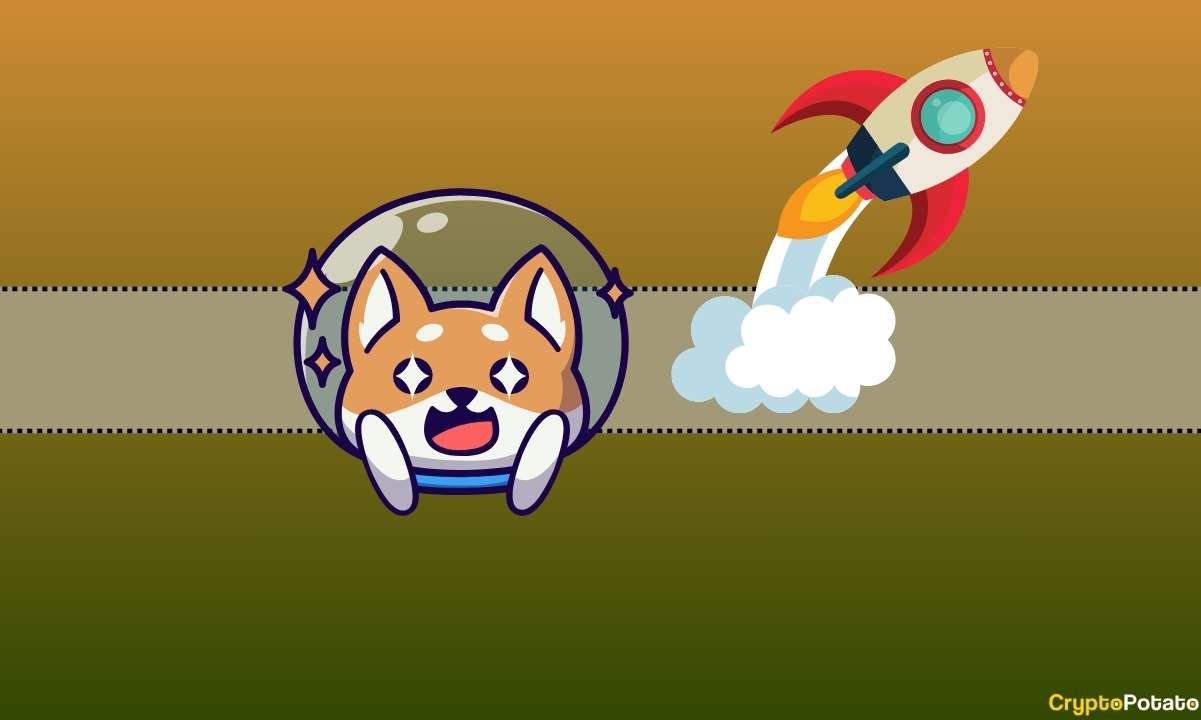 BONK Fiyatı Shiba Inu'yu (SHIB) ve Dogecoin'i (DOGE) geride bırakarak yeni bir ATH'ye ulaştı