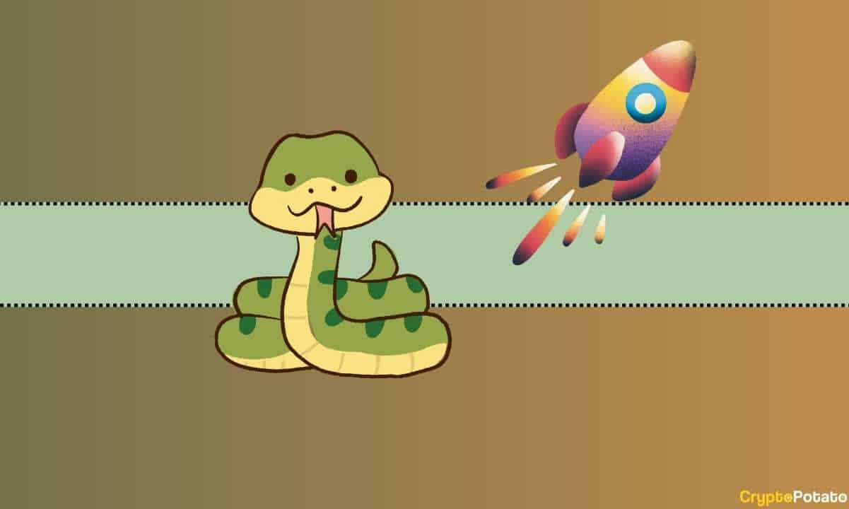Cardano Memecoin SNEK Haftalık %170 Patlıyor: Bilmeniz Gerekenler