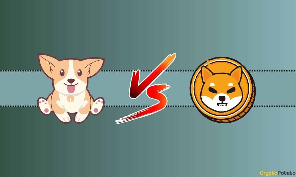 ChatGPT'ye BONK'un Shiba Inu'nun Önceki Boğa Koşusunu Kopyalayıp Kopyalayamayacağını Sorduk