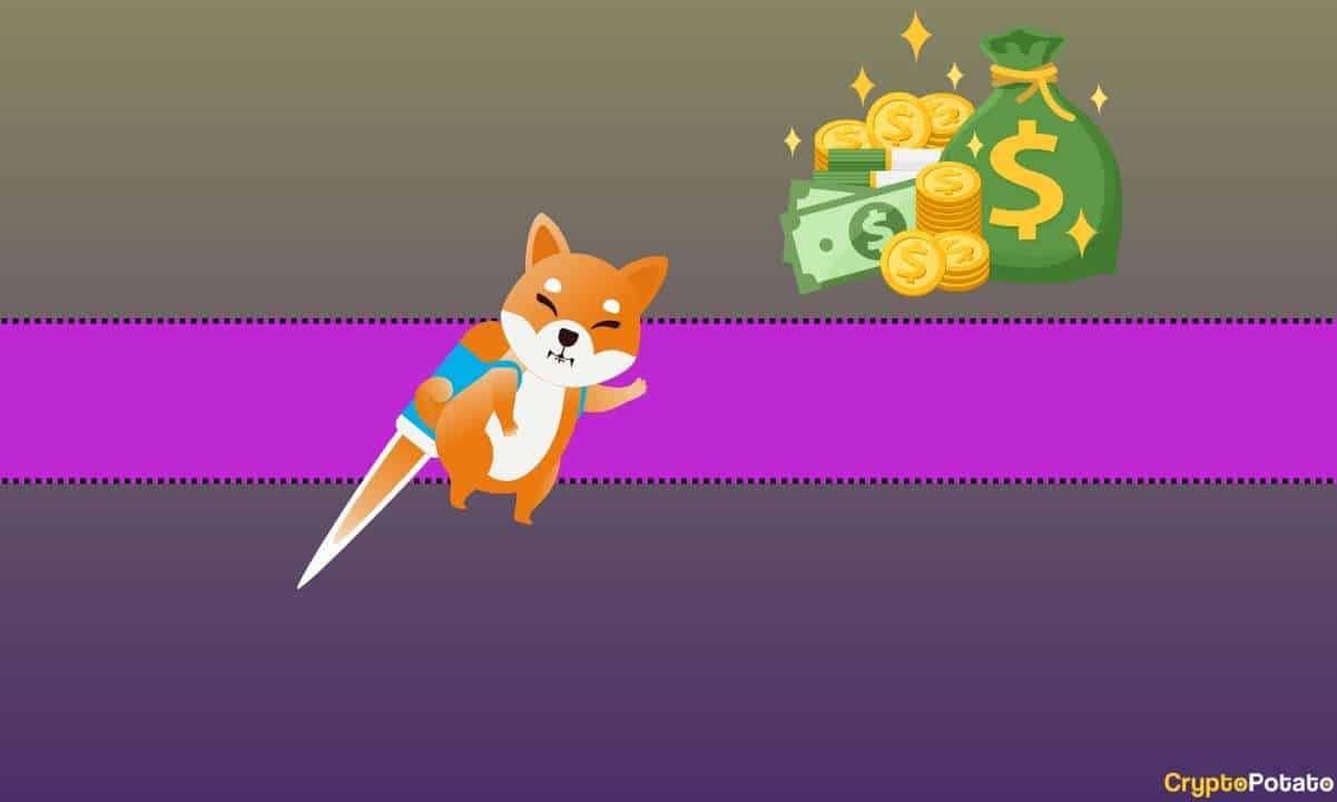 Bu Şanslı Shiba Inu (SHIB) Yatırımcısı Bir Yılda 8.000 Doları 5,7 Milyar Dolara Çevirdi: Ayrıntılar