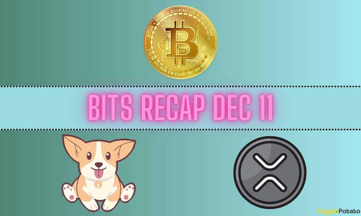 Ripple (XRP) Fiyat Tahminleri, Bitcoin (BTC) Oynaklığı, Bonk Inu (BONK) Rollercoaster: 11 Aralık Bit Özeti