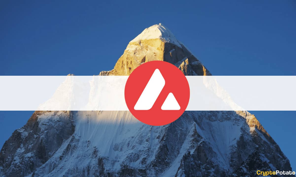 İşte Avalanche'ın (AVAX) Haftalık %80 Artmasının Nedeni