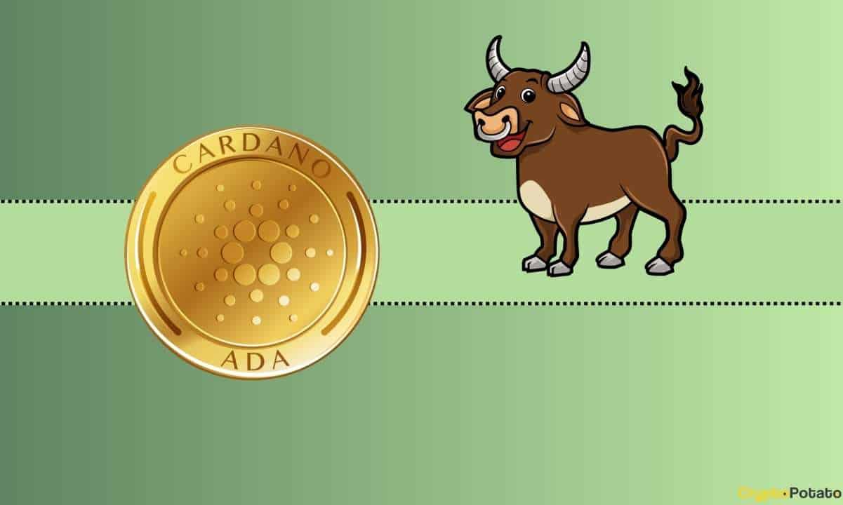 Cardano Patlamaya mı Hazır? ADA Fiyatı Piyasa Düzeltmesine Rağmen İstikrarlı