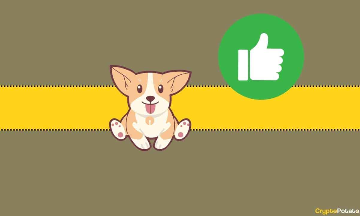BONK Meme Coin Güncellemesi: Coinbase Listelemesi Geliyor mu?