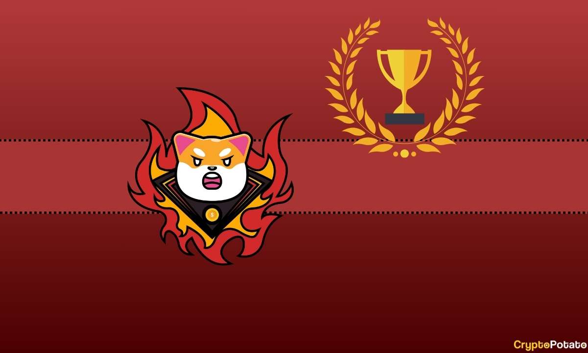 Shiba Inu En Güçlü Meme Coin Topluluğuna Sahip, İkinci Kim?