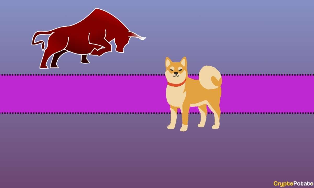 Shiba Inu (SHIB) Boğa Rallisinin Eşiğinde mi? Önemli Metriğe Yakından Bakış