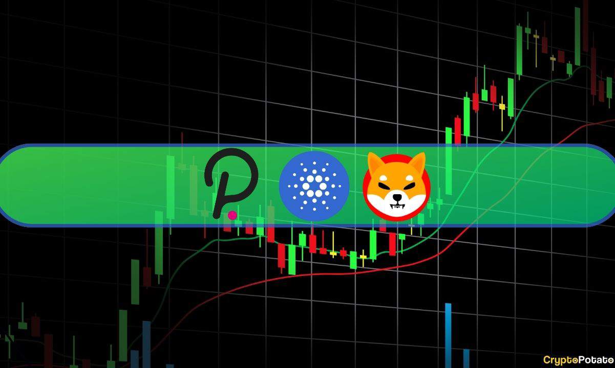 ADA, SHIB ve DOT En Çok Kazandıranlar Olarak Ortaya Çıkarken, Kripto Piyasaları Günlük 60 Milyar Dolar Kazandı (Piyasa İzleme)