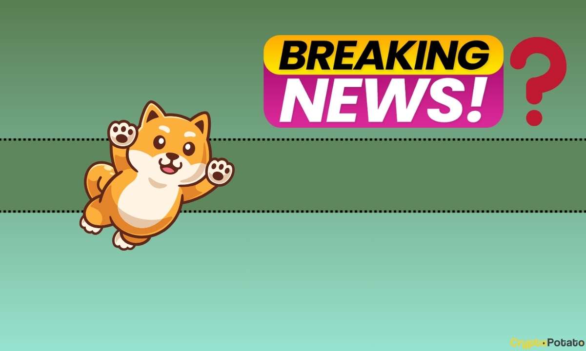 Shib Inu (SHIB) için Aralık Boğa Koşusu mu? Takım Büyük Duyuru Yapıyor