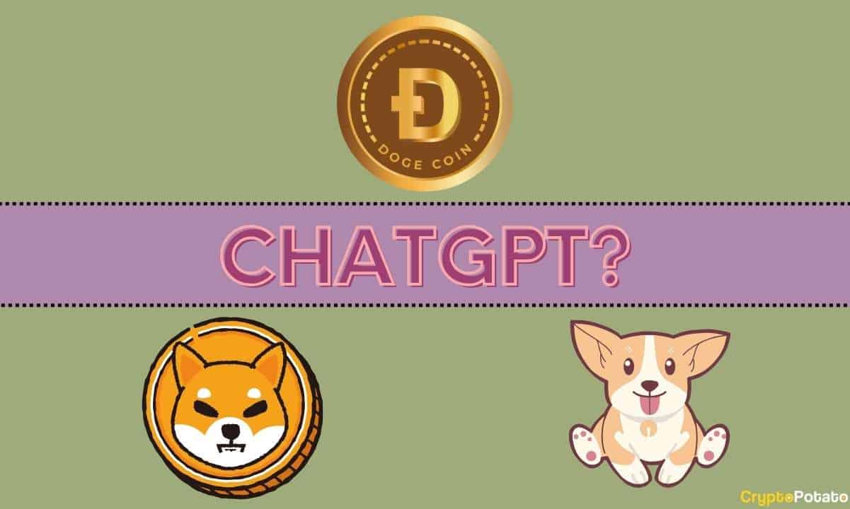 ChatGPT'ye 2024'ün En Büyük Meme Coin'i Hangisi Olacak? BONK, SHIB, DOGE veya Başka Bir Şey mi?