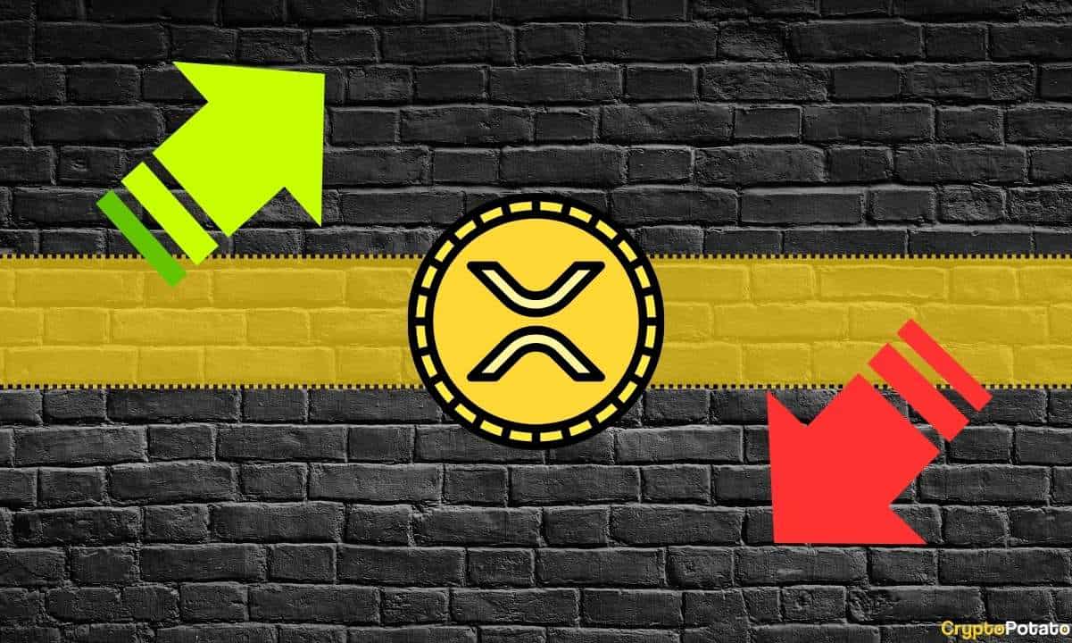 Ripple (XRP) Fiyatı Tehlikede mi? Önemli Bir Metriğe Yakından Bakış