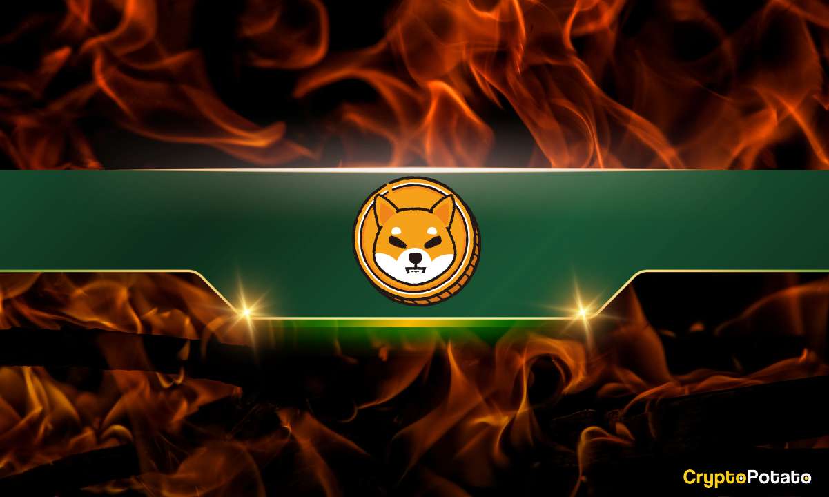 Shiba Inu Yakma Oranı %800.000'e Yükseldi, İşte SHIB Fiyatının Gideceği Yer (Analist)