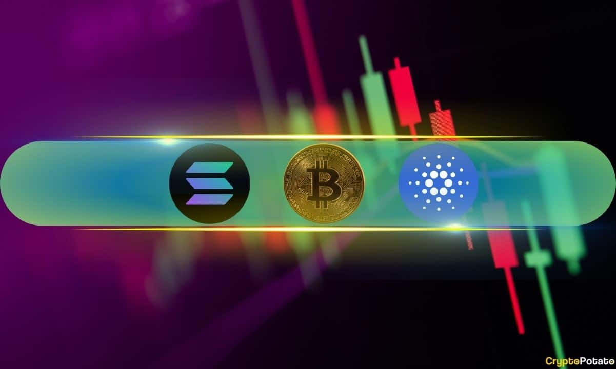 Bitcoin Tekrar 43 Bin Dolara Yükseldi, Solana ve Cardano %10 Arttı (Piyasa İzleme)