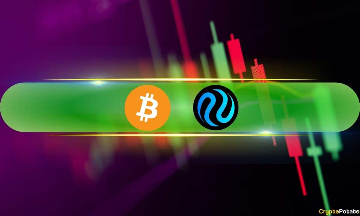 Injective (INJ) Haftada %75 Yükseliyor, Bitcoin (BTC) 43 Bin Dolar Civarında Durdu (Piyasa İzleme)
