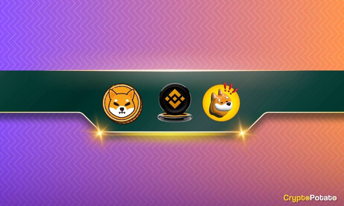 Binance, Shiba Inu (SHIB) ve Bonk Inu (BONK) Yatırımcılarını Etkileyen Önemli Bir Güncelleme Yayımladı