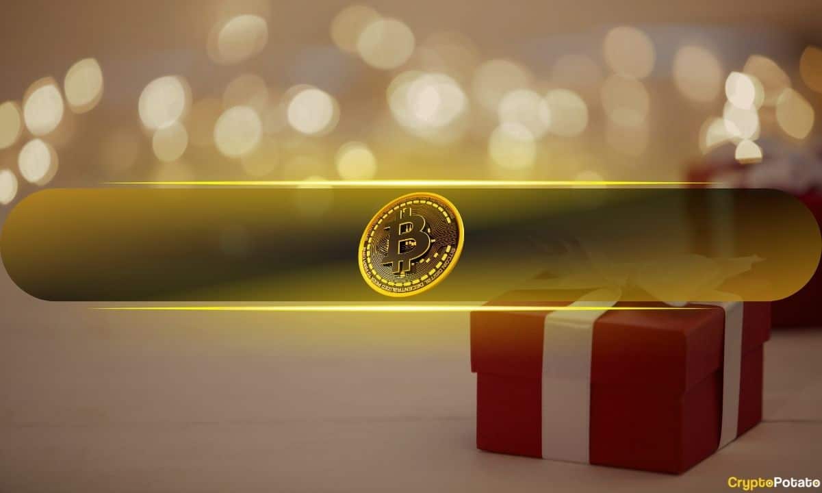 Taproot Wizards Katılımcısı Rijndael, Bitcoin Ordinals Eleştirmenlerine Noel Hediyesi Sunuyor