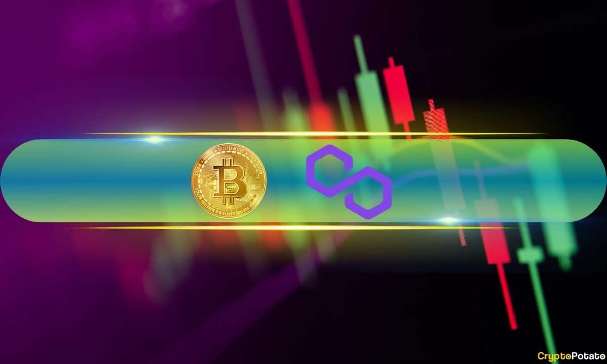 Bitcoin (BTC) Yeniden 43 Bin Dolara Göz Atıyor, Polygon (MATIC) Günde %22 Artıyor (Piyasa İzlemesi)