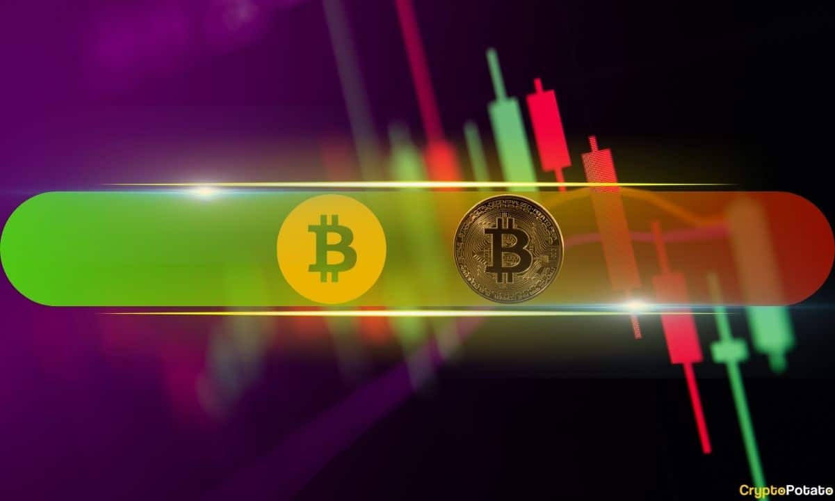 BSV Haftada %110 Yükseliyor ve 100 Dolara Ulaştı, BTC 42 Bin Doların Altında Mücadele Ediyor (Hafta Sonu Gözlemi)