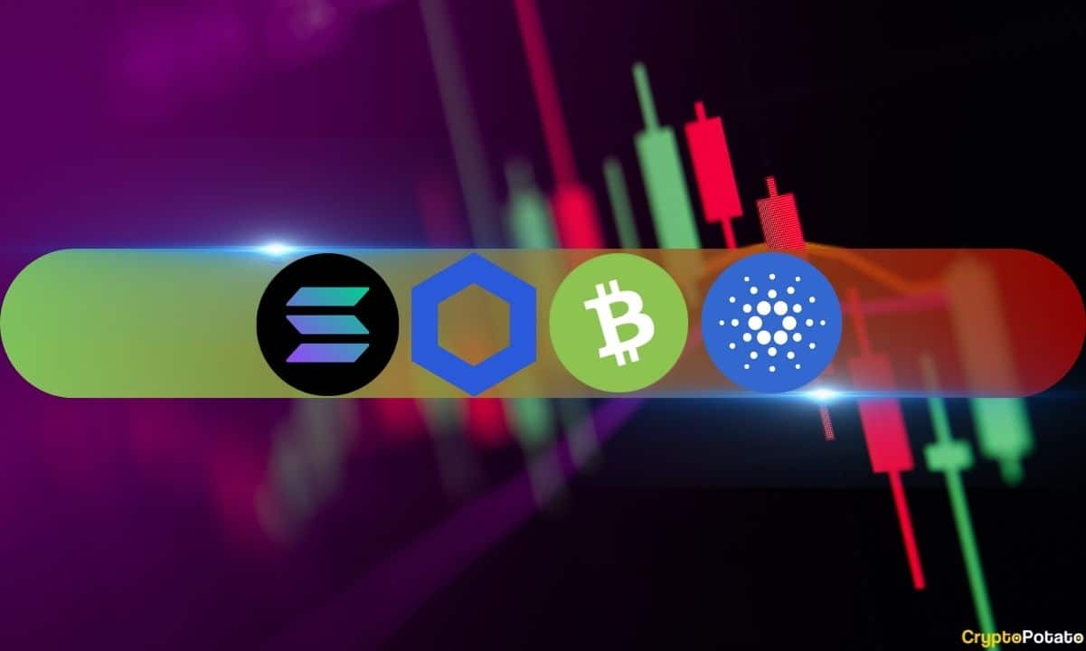 SOL, %5 Artış, LINK, BCH ve ADA'nın Sert Düşüşüyle ​​Piyasa Duyarlılığına Karşı Geldi (Piyasa İzleme)