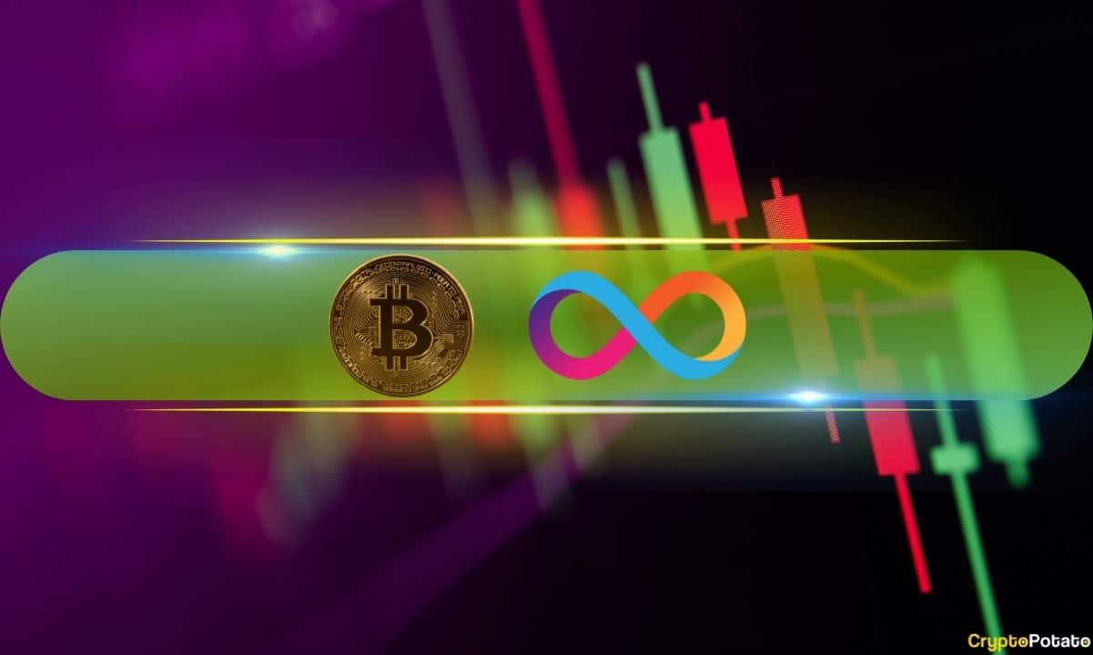 ICP Günde %35 Yükseliyor, BTC 42 Bin Doları Geri Aldı ve 43 Bin Doları Gözetliyor (Hafta Sonu Gözlemi)