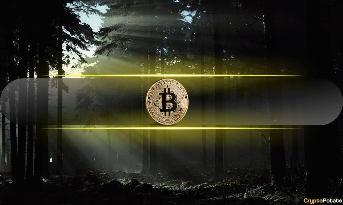 Gizemli Bitcoin İşlemi: Satoshi Nakamoto'nun Cüzdanı 1,17 Milyon Dolarlık Bir Hareketle Yeniden Ortaya Çıktı