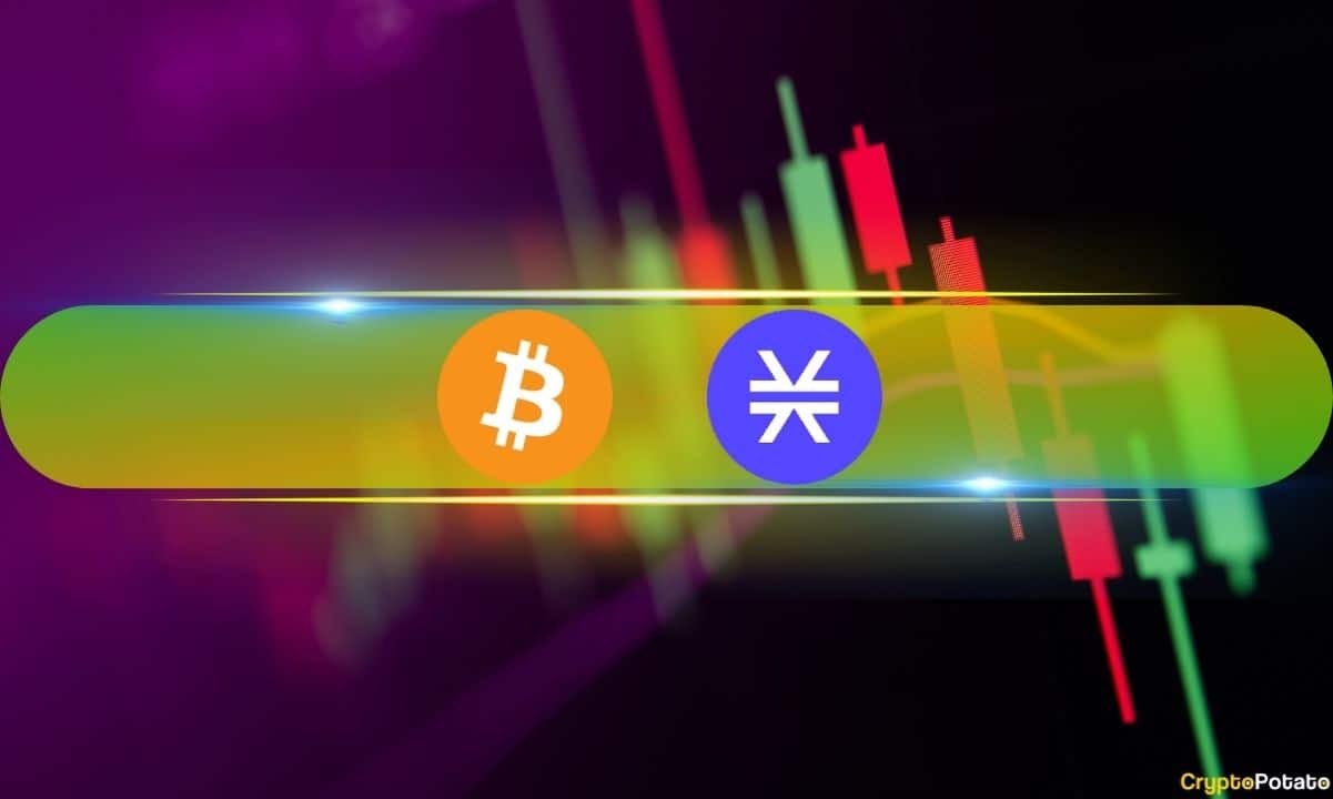 BTC 44.000 Dolarda Durdu, Altcoinler Kanamaya Devam Ederken STX Piyasa Duyarlılığına Karşı Çıktı (Piyasa İzleme)