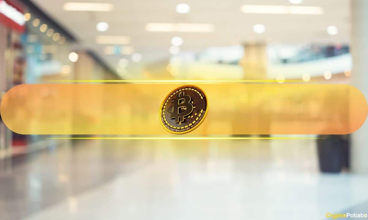 8 Ocak İtibarıyla 6.332 Tüccarın Bitcoin Benimseme Oranı Artıyor