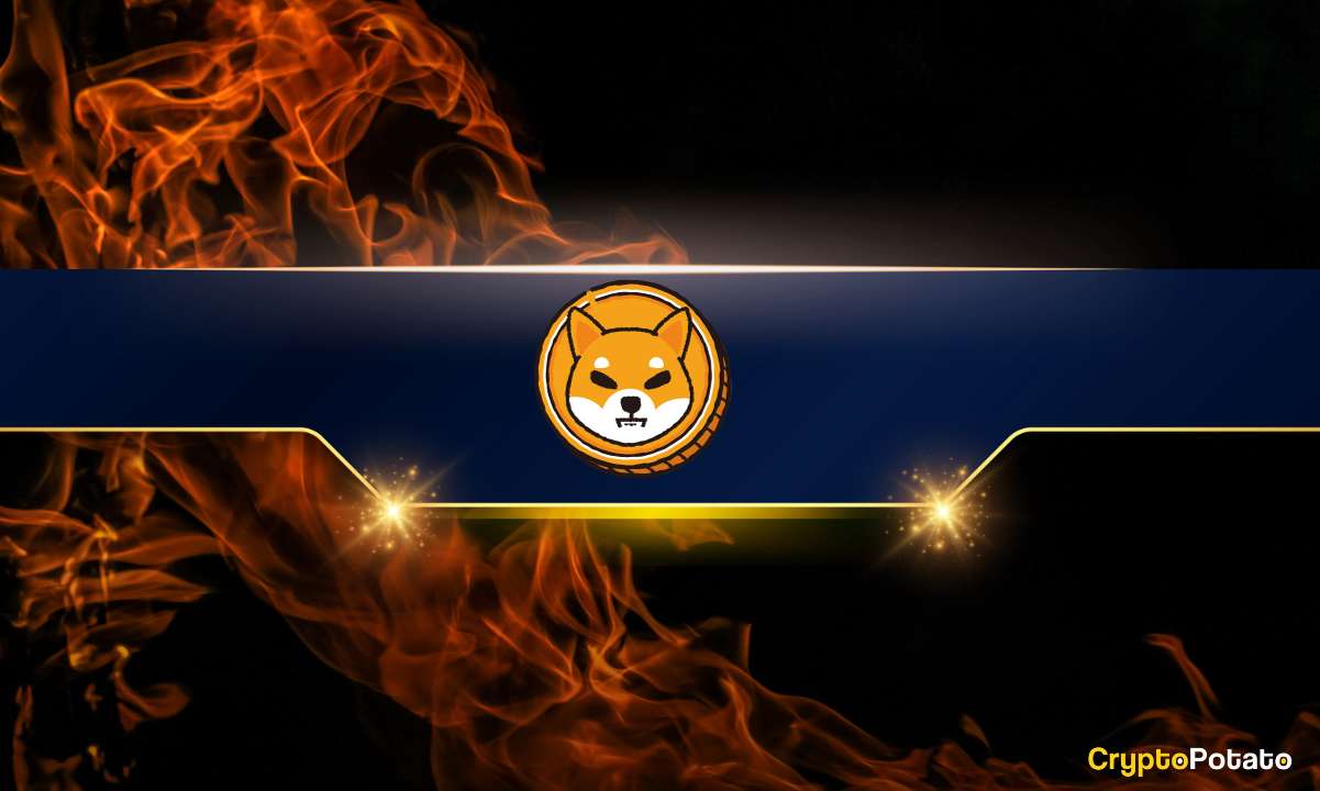 Bugün Shiba Inu (SHIB) Yanık Oranında Büyük Artış