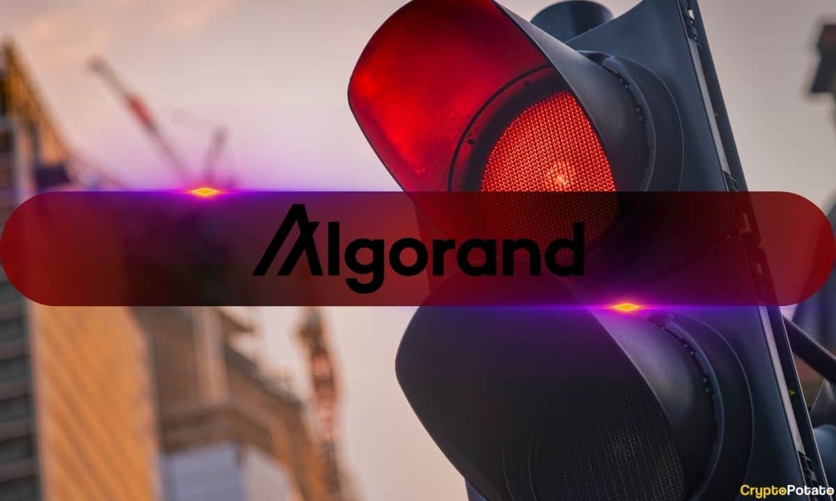 Algorand Yatırımcıları Gerilemelerle Karşı Karşıya, ALGO Sahiplerinin %88'i Zararda: Analiz