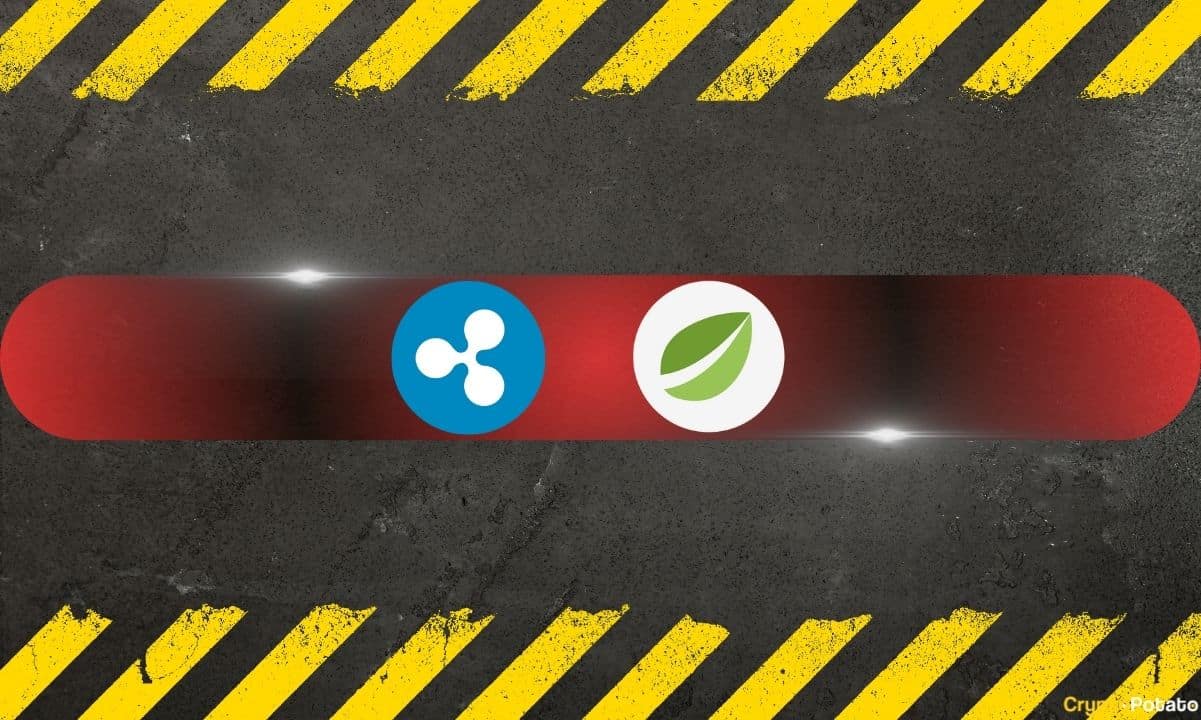 Bitfinex'in 15 Milyar Dolarlık XRP 'Kısmi Ödemeleri' İstismarının Önlenmesi Potansiyeli