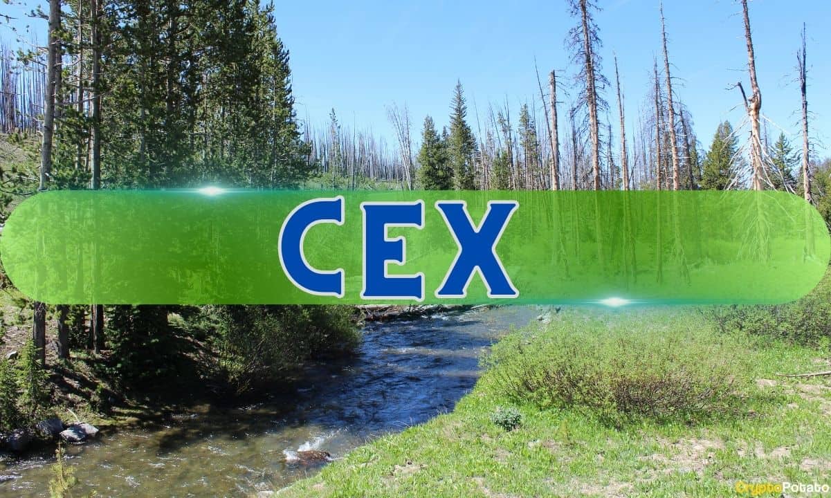 FTX Sonrası Çöküş, Aralık Merkezi Kripto Borsaları İçin İyimserliği Başlattı: CCData
