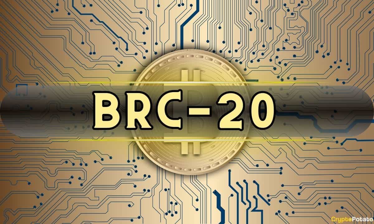 Kaiko, BRC-20 Token Ticaret Hacmi Kasım 2023'ten Bu Yana 10 Kat Arttı