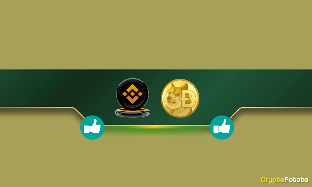 Dogecoin (DOGE) İle İlgili 18 Ocak Önemli Binance Güncellemesi