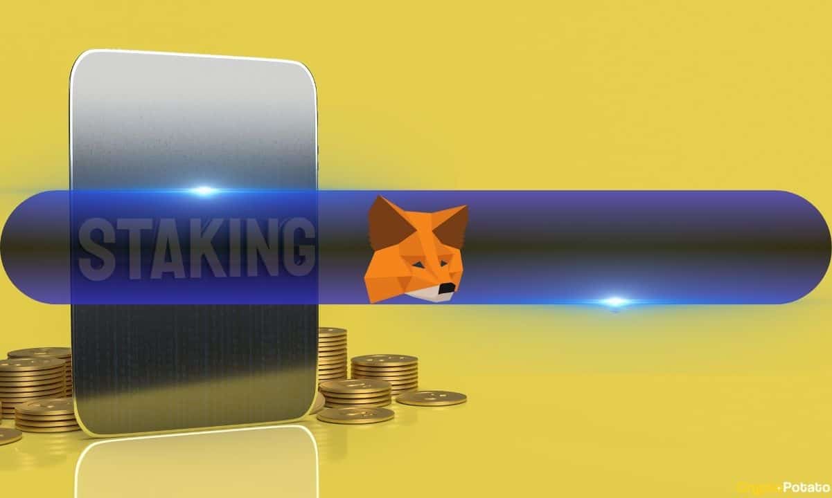 MetaMask, Yüksek Fiyatlarla da olsa, Kullanıcılar Adına Staking Node'larını Başlatıyor