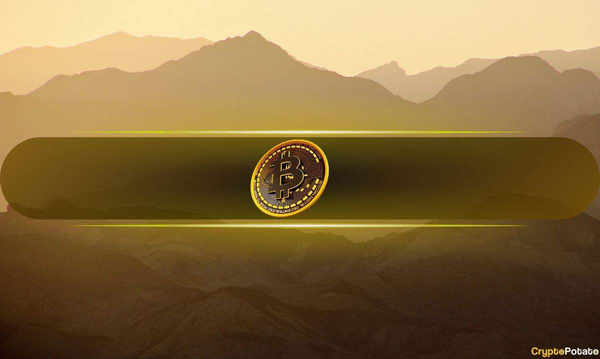Bu Bitcoin L2 Çözümleri Kurumsal Evlat Edinmeyi Sağlayabilir: Rapor