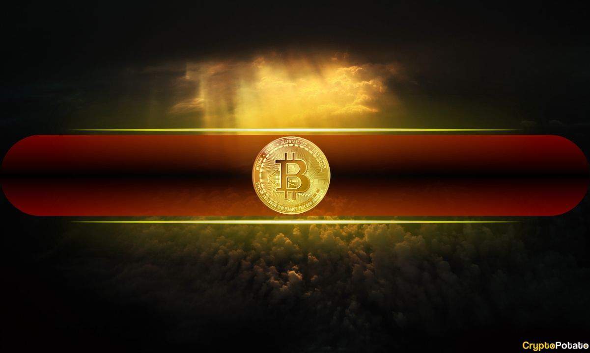 BTC 40.000'in Altına Düşerken Bitcoin'in Gerçekleşmemiş Karları Düşüyor: Bitfinex Alpha