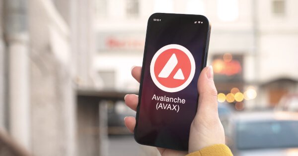 Avalanche (AVAX) Vakfı'nın Meme Coin Edinimi İçin Yenilikçi Kriterleri