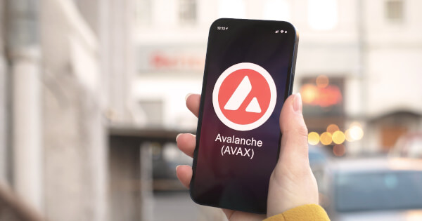 Avalanche (AVAX) Vakfı'nın Meme Coin Edinimi İçin Yenilikçi Kriterleri