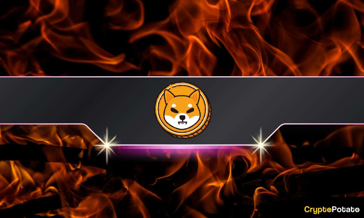 Shiba Inu (SHIB) İtiş Yanma Oranı %4.000'in Üzerinde Büyük Haber: Bilmeniz Gerekenler