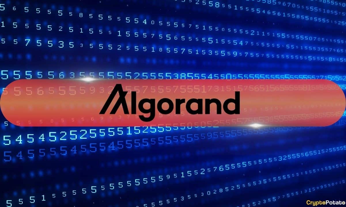 Algorand Vakfı CEO'sunun X Hesabı Hacklendi