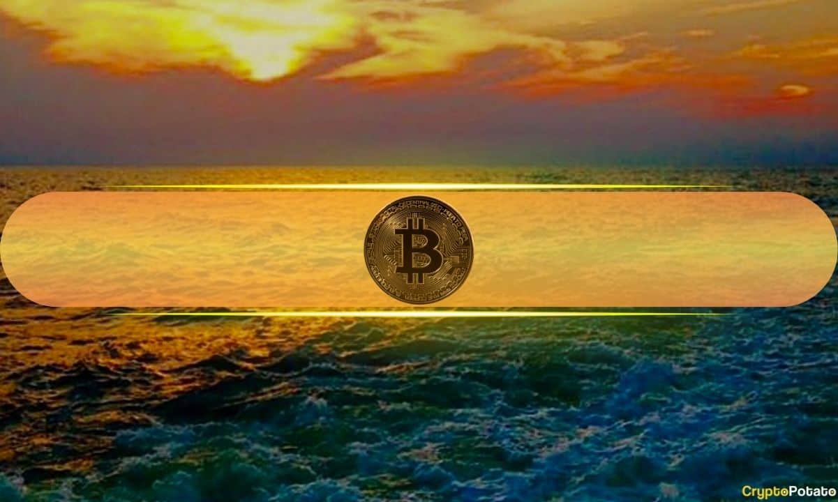 Bitcoin Biriktirme Cüzdanları Artık 1,7 Milyon BTC ile 68 Milyar Dolar Değerindeyken BTC Fiyatı 42 Bin Doların Üzerine Çıktı