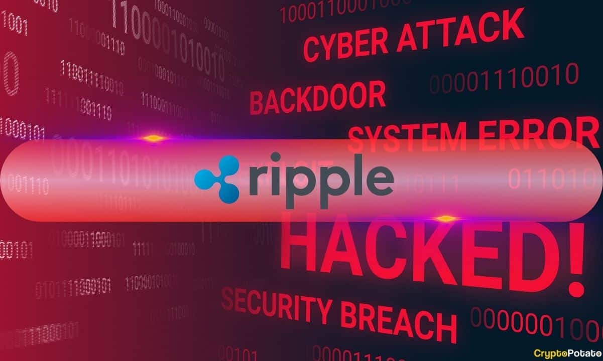 Ripple'dan Chris Larsen'ın Kişisel Cüzdanların İhlalini Doğrulaması ile XRP Fiyatı %5 Düştü