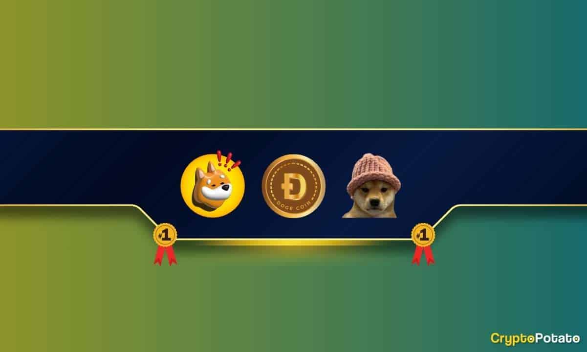 ChatGPT, Bu Yıl Hangi Solana Meme Coin'in Dogecoin'i (DOGE) Çevirme Şansının En İyi Olduğunu Analiz Ediyor