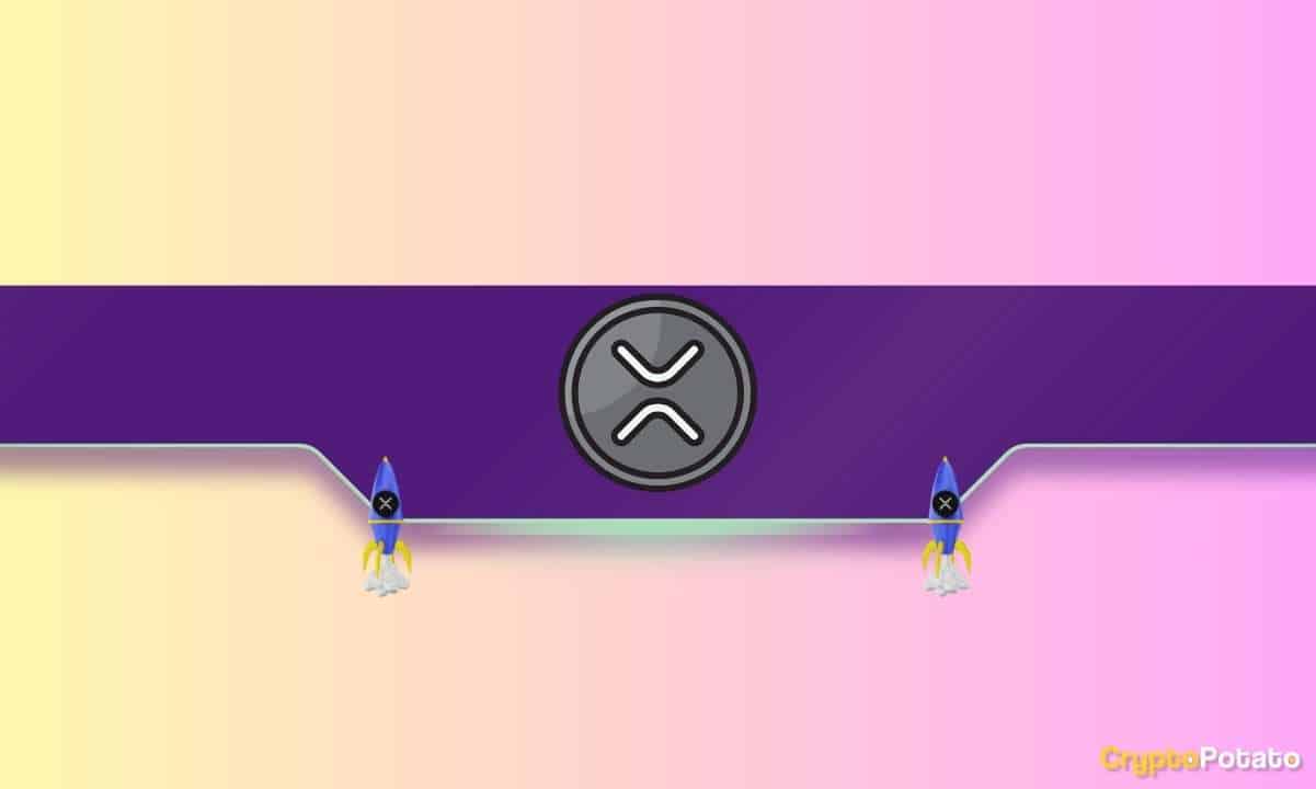 Ripple (XRP) Halka Arz Güncellemesi: Meta (Facebook) ve Diğer Büyük Halka Arzlarla Karşılaştırma