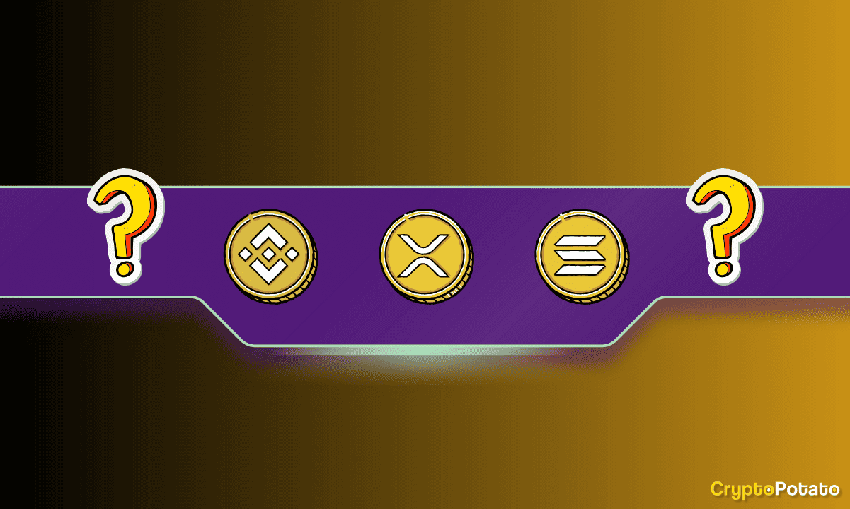 2024'te Satın Alınacak En İyi Altcoin Nedir? İşte Uzmanlar Ne Diyor?