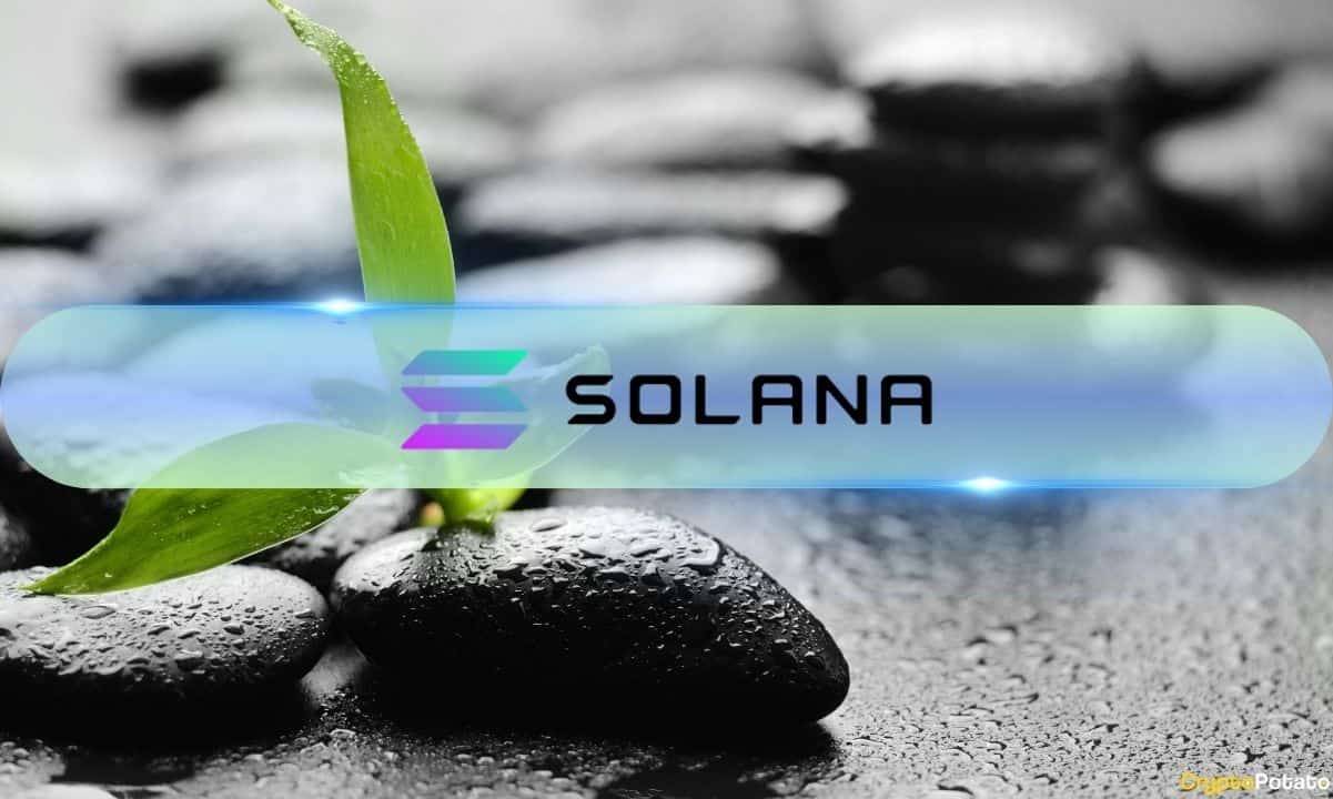 Solana Yatırımcıları Ethereum ve Avalanche'ı Geride Bırakarak 13 Milyon Dolarlık Girişle Geri Döndü