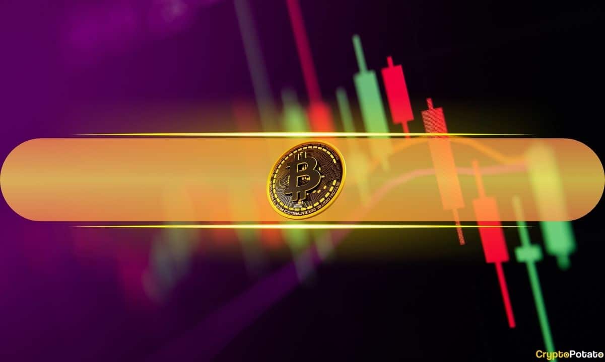 Bitcoin (BTC) 49 Bin Dolara Yaklaşırken Bunlar Geçen Haftanın En İyi Performans Gösterenleri (Piyasa İzlemesi)
