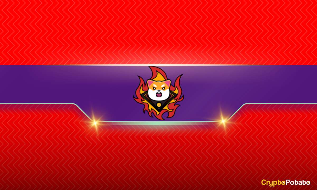 Bu Shiba Inu (SHIB) Metriğinde Büyük Artış: Bir Miting Geliyor mu?