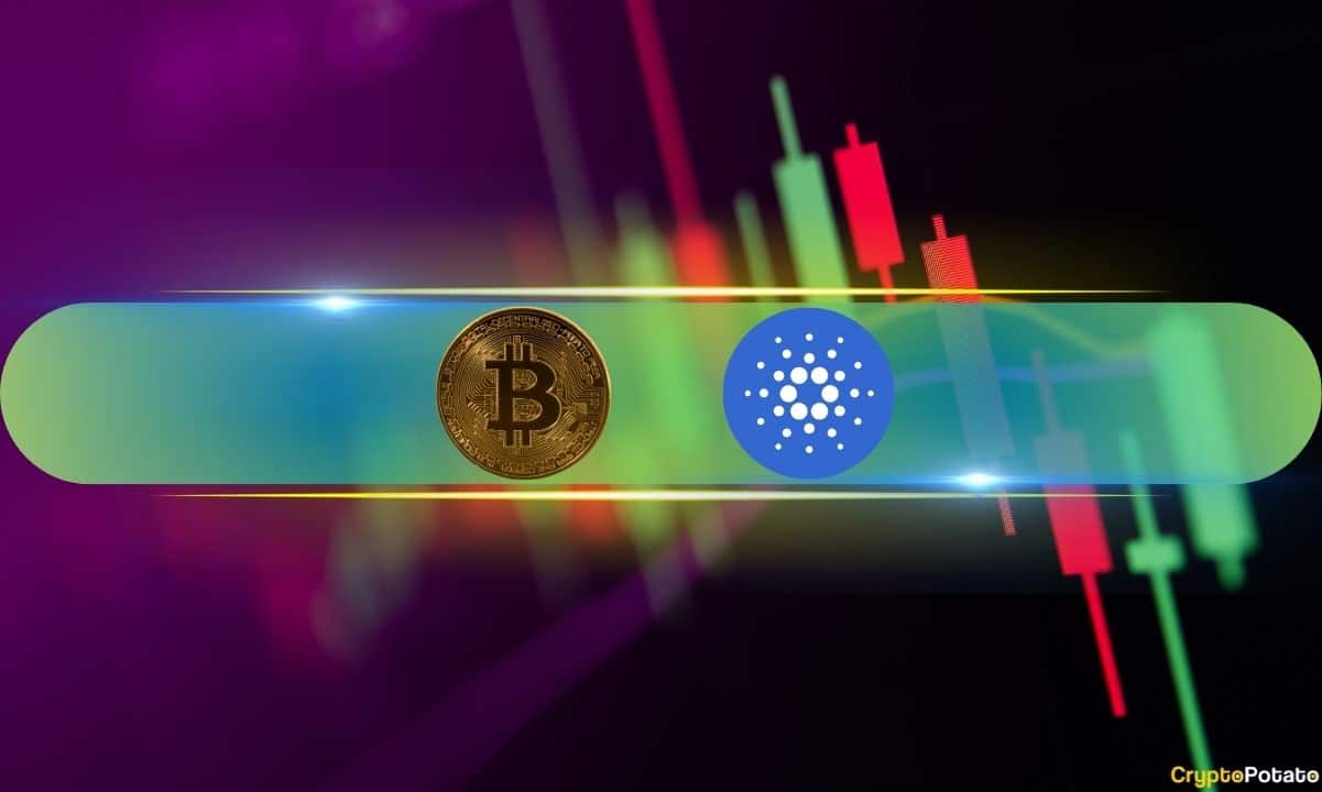 Cardano (ADA) Günlük %9 Yükselirken, Bitcoin (BTC) Tekrar 52 Bin Dolara Yaklaştı (Hafta Sonu İzlemesi)