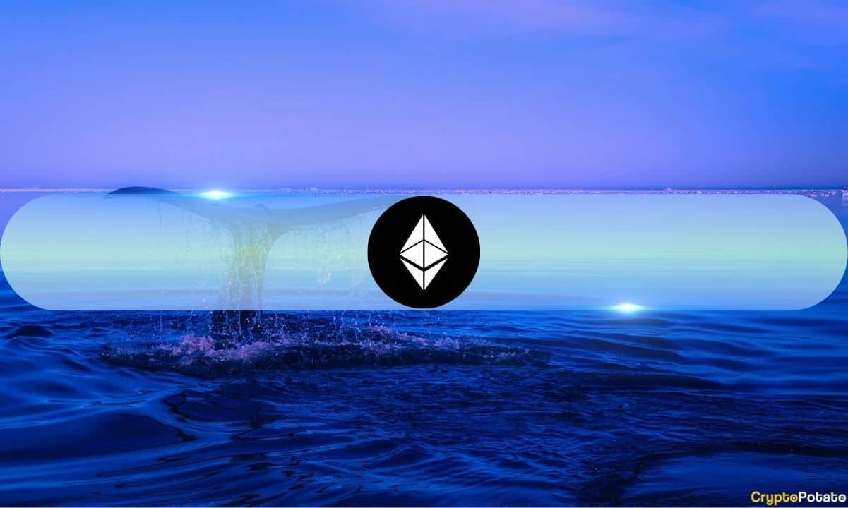 Gizemli Ethereum Balinası, 3 Bin Doları Hedefleyen ETH'de 150 Milyon Doların Üzerinde Birikti: Veriler